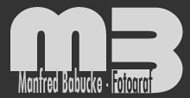 Manfred Babucke